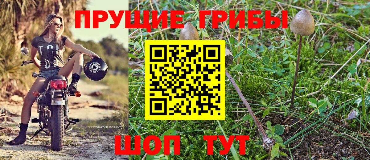 Псилоцибиновые грибы Psilocybine cubensis  закладка  Анапа  Вход с VPN 