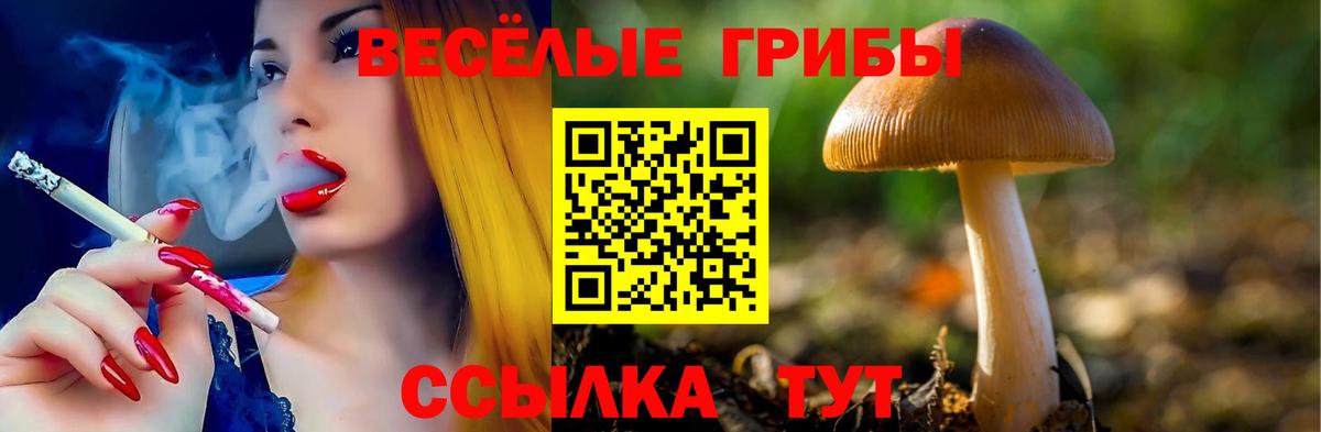 Псилоцибиновые грибы Cubensis Анапа